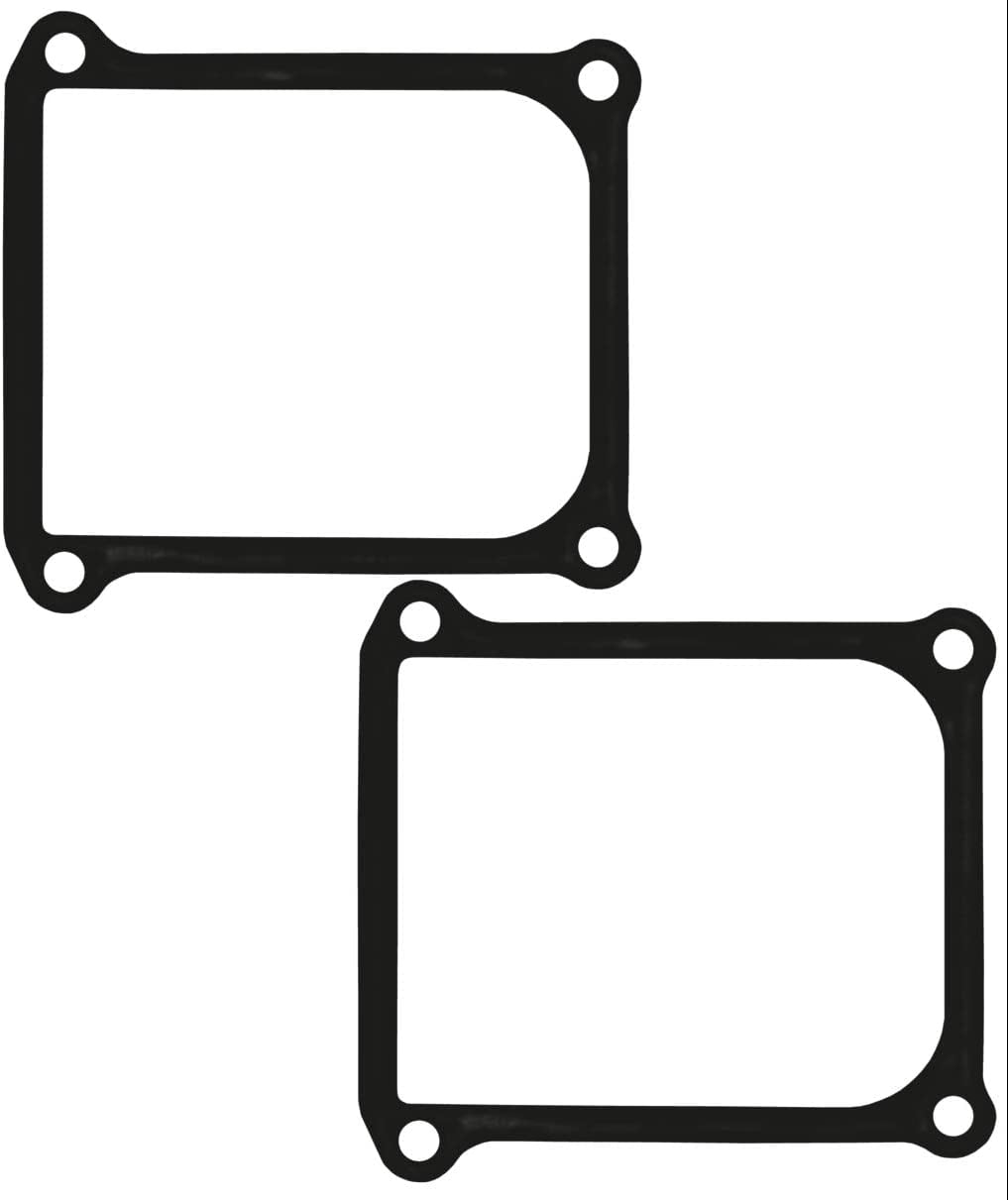 Generac Genuine OEM Replacement Gaskets, 2 Pack, 0C2979X - Walmart.com