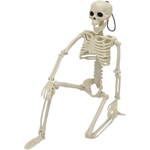 General 16In Posable Halloween Skeleton, Full Body Life Size Skeleton for Halloween Spooky Party Props Decor