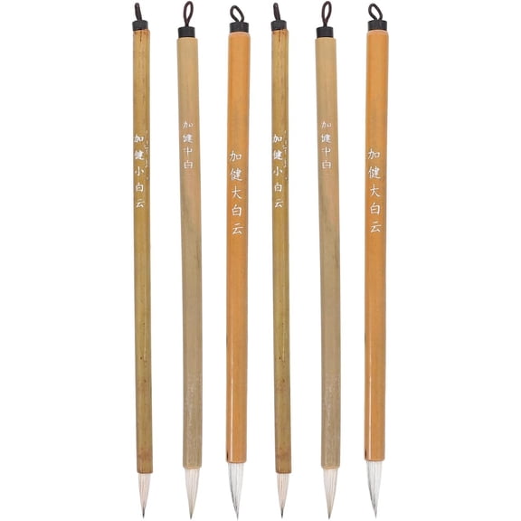 General 6pcs Chinese Calligraphy Brushes Writing Painting Brushes Art Sumi Brush for Professional Beginner, Large Medium Small Sizes