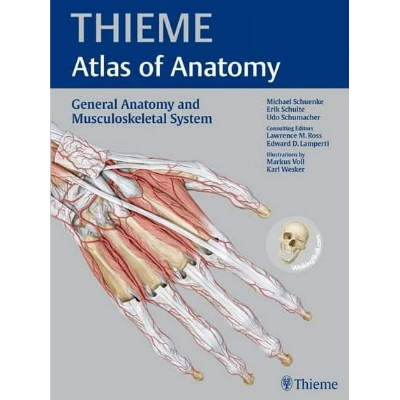 Pre-Owned General Anatomy and Musculoskeletal System (THIEME Atlas of Anatomy) (Paperback) 160406286X 9781604062861
