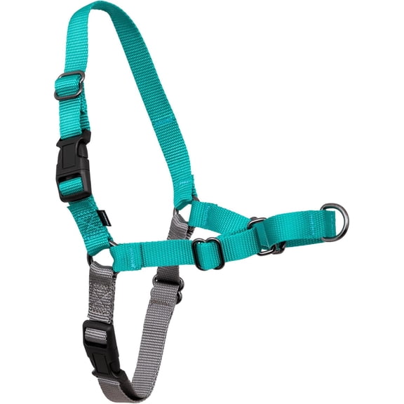 General Easy Walk Harness for Dogs - Pull-Free Walks - Patented Martingale Loop Design - Front Chest Leash Attachment - Comfort Straps - Breathable Harness Design - Large, Teal/Gray