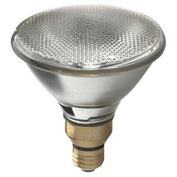 General Electric 66280 60W Energy-Efficient Halogen PAR38 Floodlight, Pack of 2