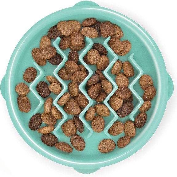 General Fun Feeder Slo Bowl – Small 3/4-Cup Capacity, Slow Feeding, Small Dogs, Puppies & Cats, Non-Slip, Mint, Wave Pattern