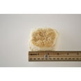 thumbnail image 1 of General Mills Easy Split Golden Buttermilk Biscuit, 2.25 Ounce - 120 per case., 1 of 4
