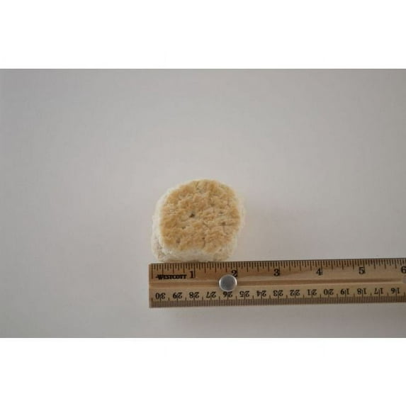 General Mills Pillsbury Baked Mini Southern Style Biscuit, 1.2 Ounce - 175 per case.