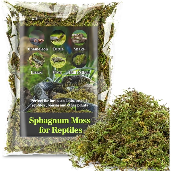 General Sphagnum Moss for Reptiles - Terrarium Reptiles Moss Green Dried Peat Moss Habitat Bedding Moss for Snakes Turtle Frog Gecko and Other Reptiles Substrate (5, Ounces)