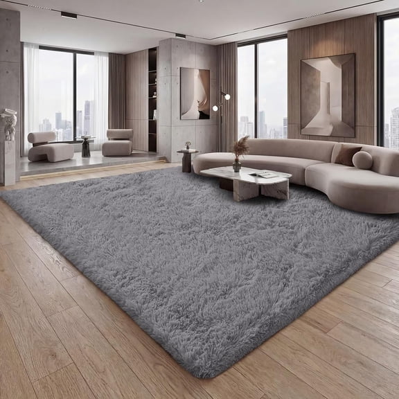 General Super Soft Shaggy Area Rugs Fluffy Carpets, Indoor Area Rugs for Living Room Bedroom Kids, College Students Home Decor, Rectangular Fuzzy Rug, 8x10 Feet, Dark Gray