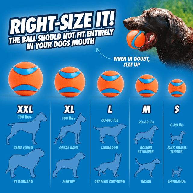 General C Program General Tough Rubber Dog Fetch Toy Balls 4 Pack, 2.5 Inch Medium ...