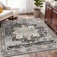 thumbnail image 1 of General Washable 5 x 5 Square Rug- Area Rugs for Living Room Stain Resistant Carpet Soft Rugs for Married Woman in Bedroom Kitchen Dining Room with Non Slip Backing Home 5x5 Black, 1 of 16