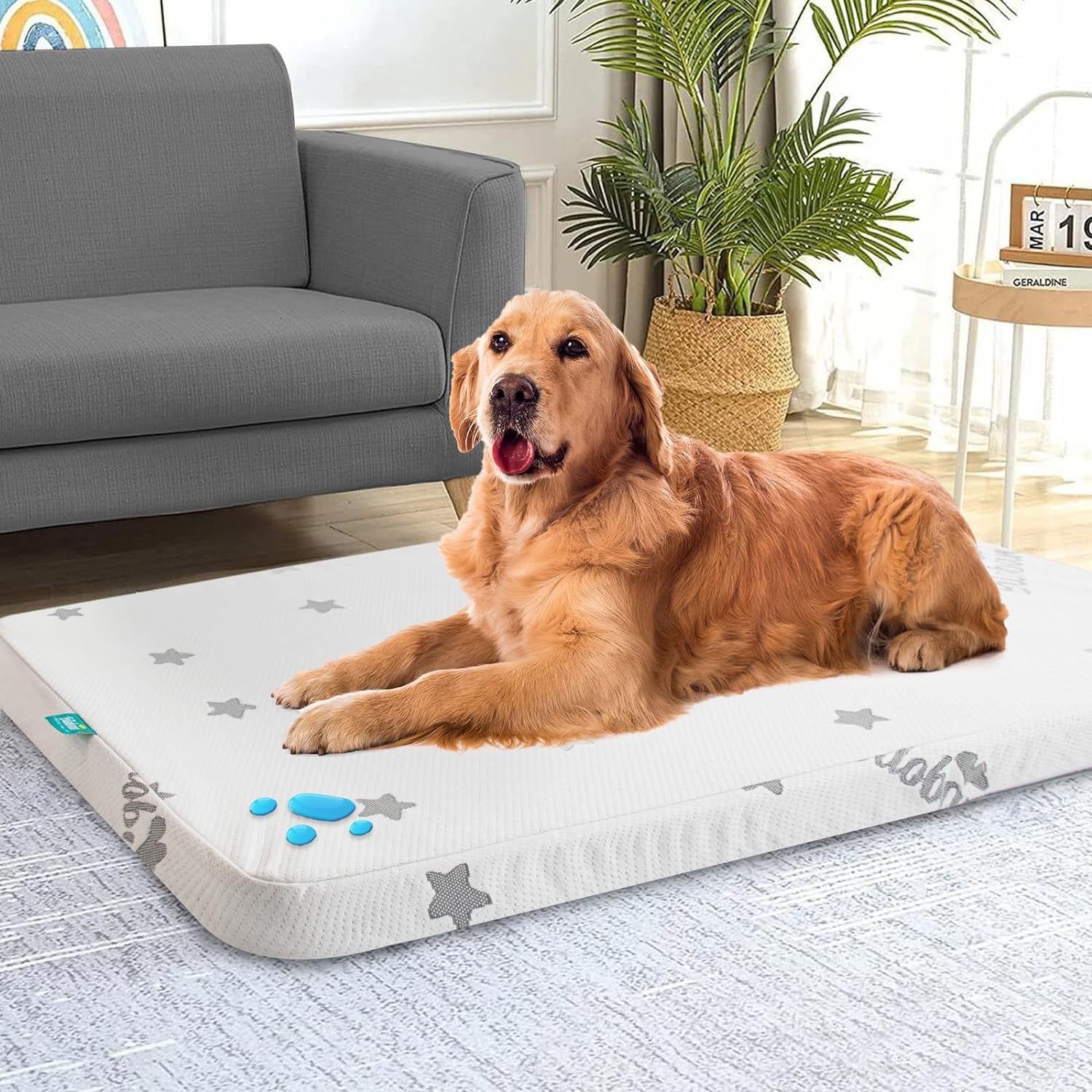 General Waterproof Dog Beds for (Large) Dogs, Washable Mat Pad, Memory Foam Dog Beds & Furniture for Small/Medium Large/XL/XXL Pet with Removable Cover (Light Grey)