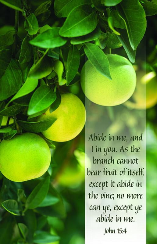 General Worship Bulletin Abide In Me Package Of 100 John 15 4 Kjv General worship bulletin abide in me package of 100 john 15 4 kjv