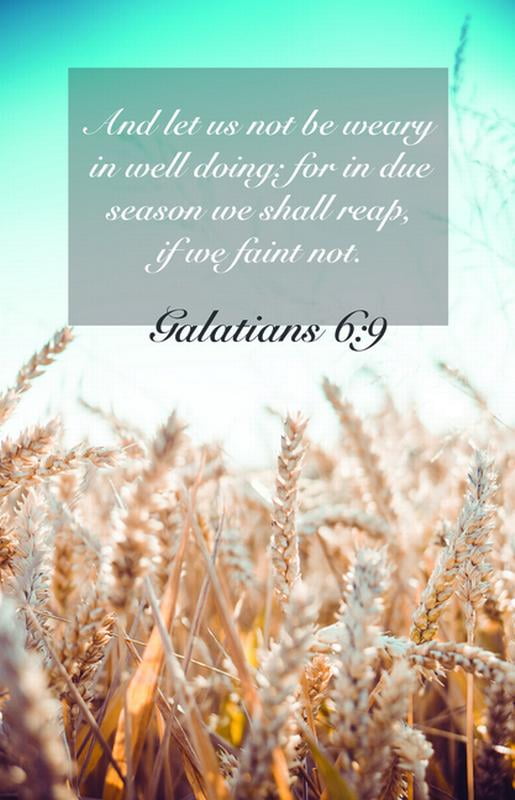 General Worship Bulletin - Due Season (Package of 100): Galatians 6:9 ...