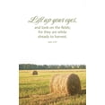thumbnail image 1 of General Worship Bulletin: Lift Up (Package of 100): John 4:35 (Kjv), (Paperback), 1 of 1