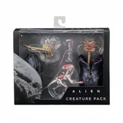 General7-Inch Alien Action Figure - Ultra-Detailed Creature Pack Collectible with Articulation Points for Displays, Horror Dioramas Creature Pack