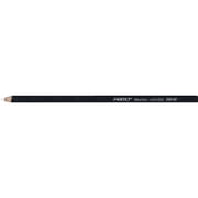 Price/DZPrimo Euro Blend 59-W White Charcoal Pencils