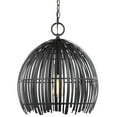 thumbnail image 1 of Generation Lighting 6622701 Hanalei 16" Wide Mini Pendant - Black, 1 of 7