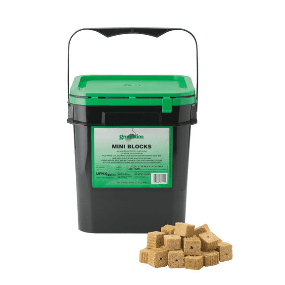 Generation Mini Blocks (16lb)