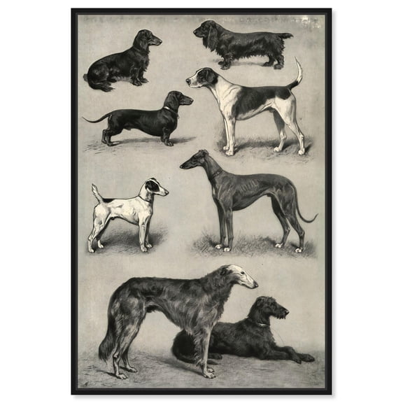Generations of Dogs I Canvas Animal Line Art by Art Remedy, Black Frame, 16" x 24"