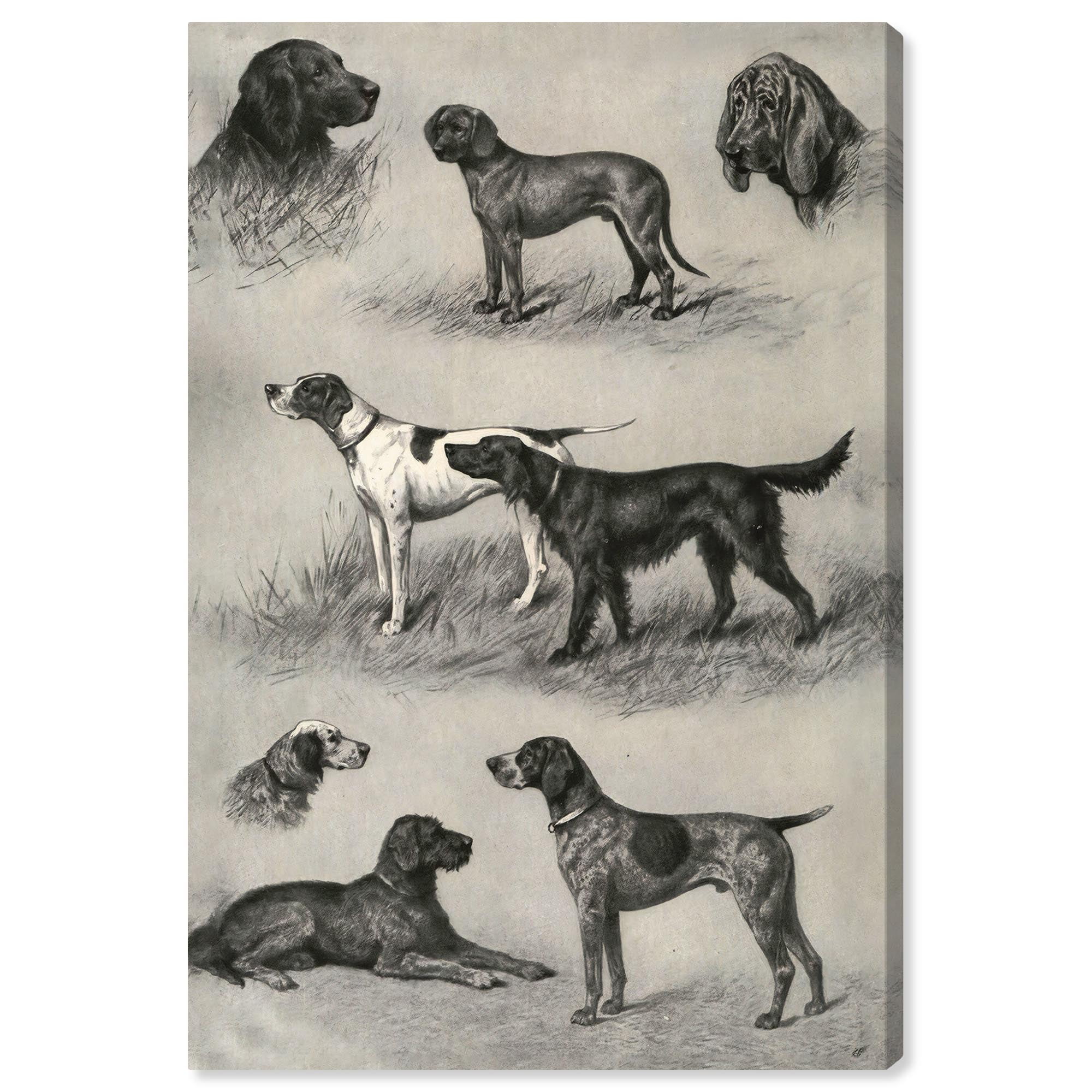 Generations of Dogs II Black and White Canvas Art