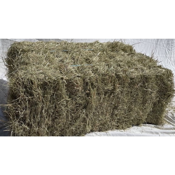 Generic 2-String Coastal Bermuda Hay Horse Feed