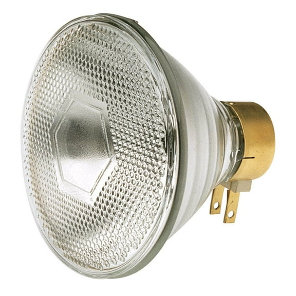 Generic 65 Watt PAR38 Incandescent - Clear - 2000 Average rated hours - 765 Lumens