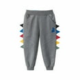 thumbnail image 1 of Generic Unisex Kids Sweatpants Dinosaur Boys Girls Solid Color Sweatpants Spring Summer Autumn Clothes for Holiday Party Leisure（6-7 Years Gray）, 1 of 5