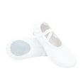thumbnail image 1 of Generic Child Girls Dress Shoes Ballet Canvas Dance Shoes Gymnastics Yoga Shoes Soft Canvas Flat Shoes for 4-15 Years, 1 of 5