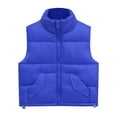 thumbnail image 1 of Generic Children Lightweight&nbsp;Tops Toddler Baby Girls Winter Down Cotton Hedgehog Vest with Front Buckle Cartoon Warm Outwear Coat, 1 of 4