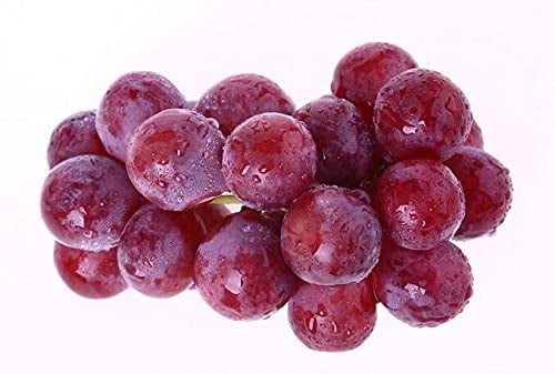 Generic Grapes Seeds(50 Seeds)