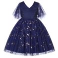 thumbnail image 1 of Generic Kids Christmas Night Gowns Girls Toddler Dress Sleeveless Princess Mesh Wedding Dresses for Children Clothing Fashion for Birthday Holiday Party Gown(5-6 Years,Blue), 1 of 4