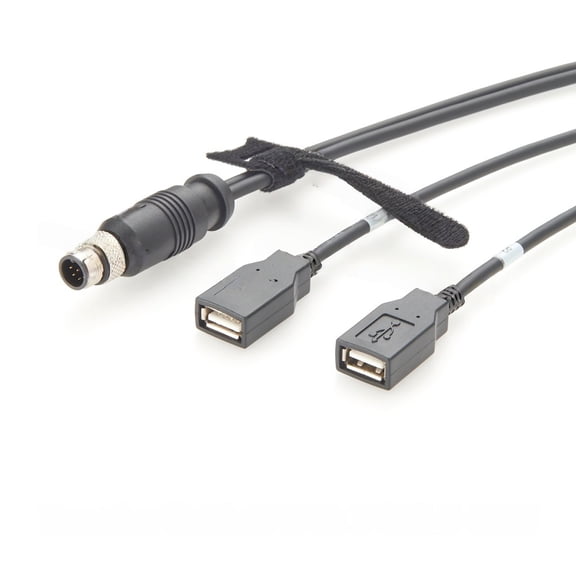 Generic M12 A Code 8 Pin Male to Dual USB 2.0 Female Extension Cable IP67 Waterproof M12 Y Splitter Cable Compatible M12-2USB-300