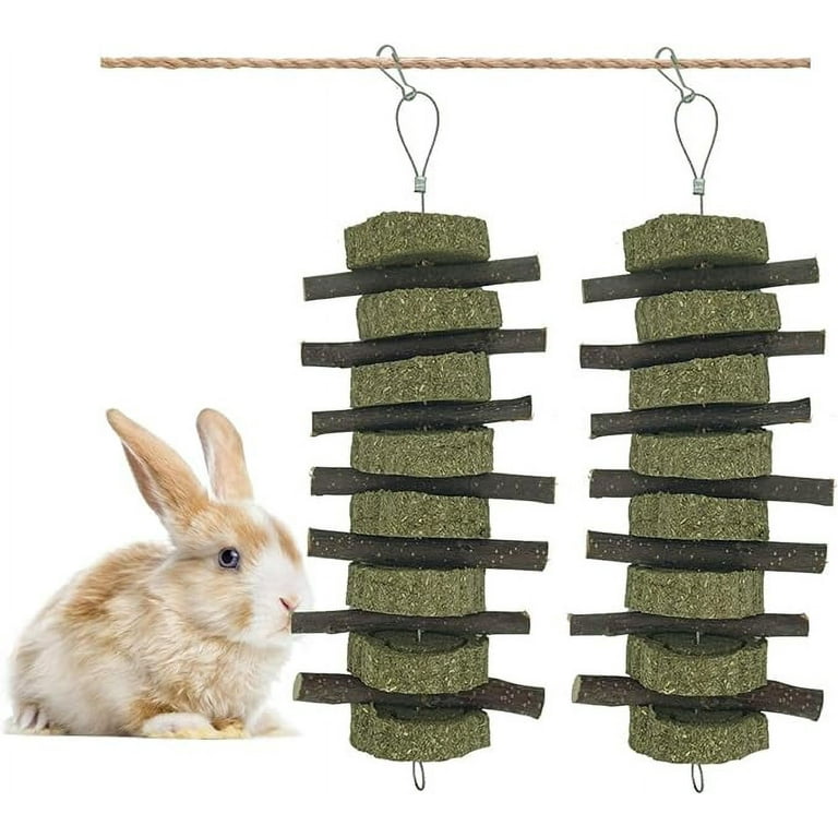Generic Rabbit Bunny Treat Hamster Chew Toys Apple Sticks with
