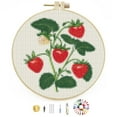 thumbnail image 1 of Generic Red Strawberry Plant Stamped Cross Stitch Kit with Hoop for Beginners, 18cm x 26cm, Multicolored, Non-Foldable, 1 of 8