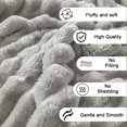 thumbnail image 1 of Double Layer Raschel Blanket Soft Cozy Plush Blanket For Beds Sofas And Other Scenes Decorative and Giftable Striped Blankets, 1 of 5