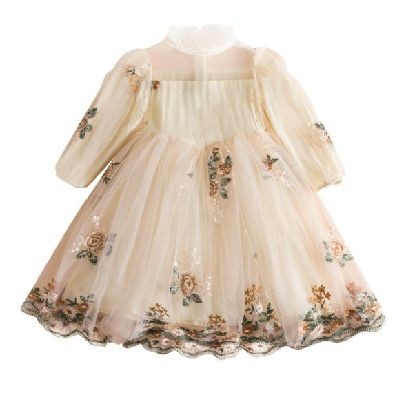 Generic Toddler Girls Spring Ruffled Tulle Puff Floral Lace Embroidery Princess Dress Show Dress Autumn Winter Clothes for Catwalk Performance Holiday Party Wedding Christmas(4-5 Years Beige)