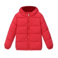thumbnail image 1 of Generic Toddler Kids Winter Puffer Jacket Hooded Warm Coat Zip Up Quilted Outerwear, 1 of 4