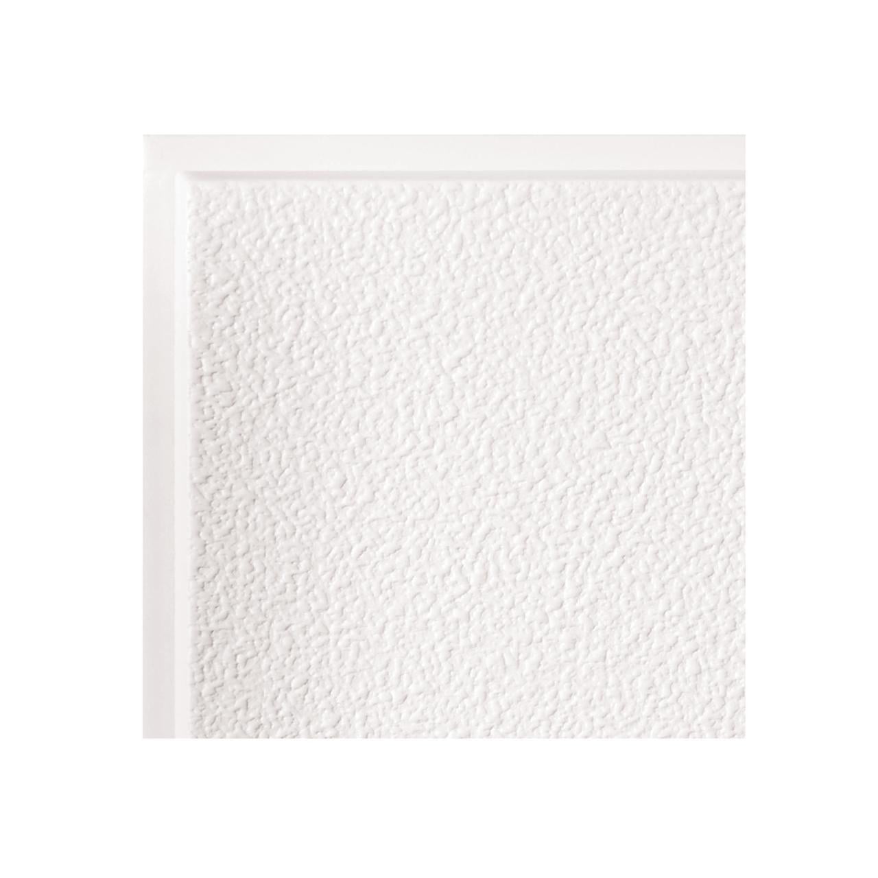 Genesis 12" x 12" White PVC Vinyl Ceiling Tile