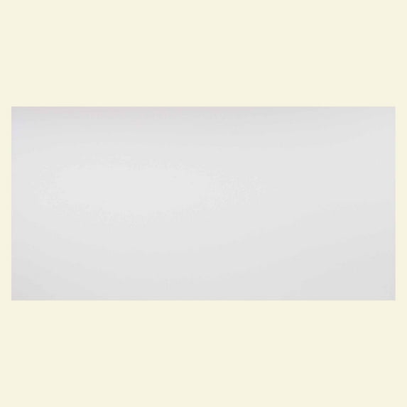 Genesis 2’ x 4’ Smooth Pro (10 Pack) Waterproof, Fire-Rated PVC, Washable, Easy Drop-In Installation, White Solid Through Color Ceiling Tile