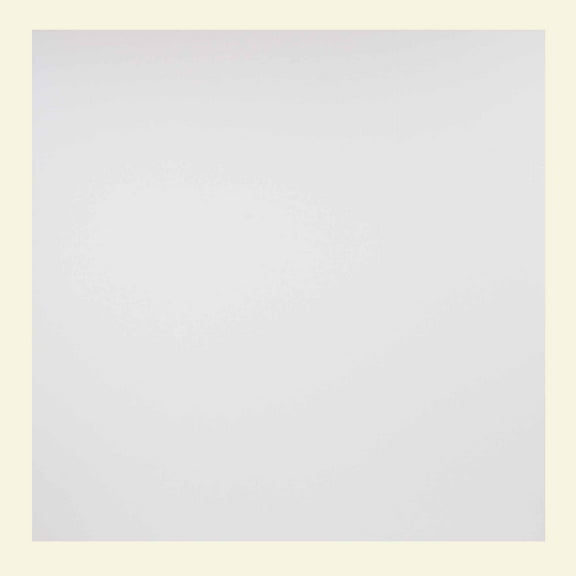 Genesis 2ft x 2ft White Border Fill Ceiling Tiles - Package of 12 Tiles