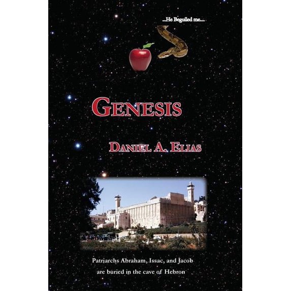 The Torah: Genesis: a direct translation (Paperback)