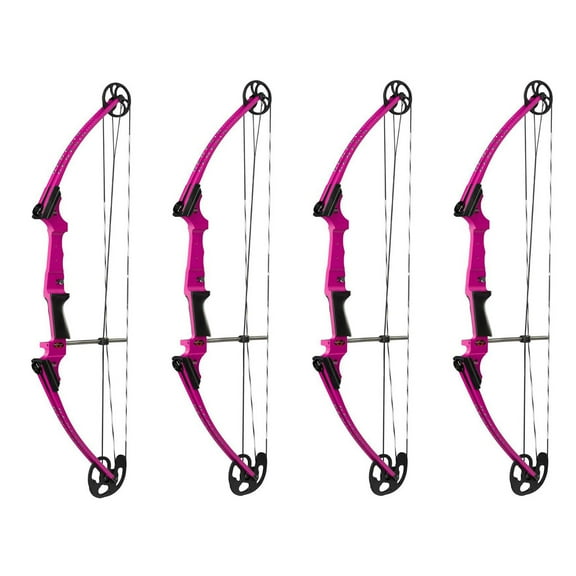 Genesis Archery Compound Bow w/Adjustable Sizing, Right-Handed (4 Pack)