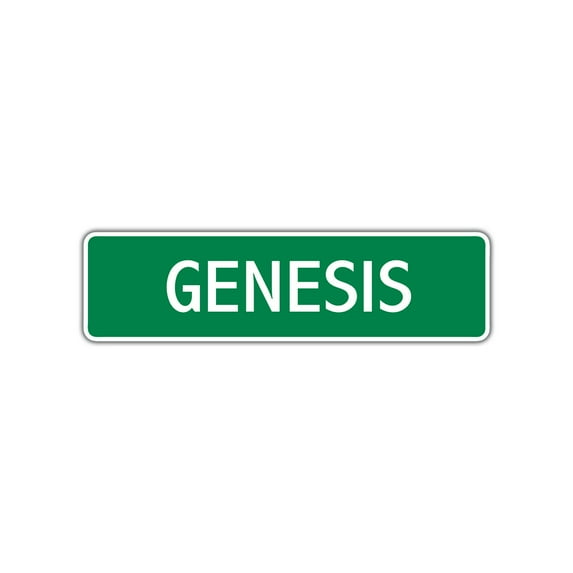 Genesis Girls Children Name Letter Printed Indoor Outdoor Unique Wall Novelty Plaque Decoration Label Aluminum Metal Sign 4"x13.5"