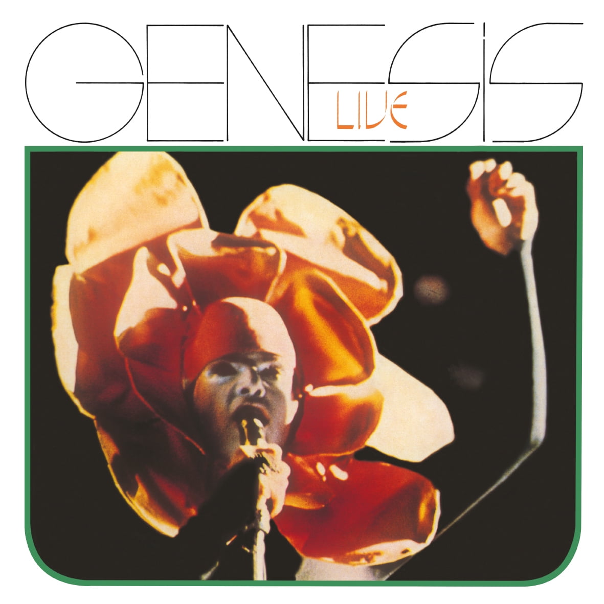 Genesis Vinyl Records - Walmart.com