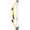 thumbnail image 1 of Genesis Original Archery Compound Bow, Adjustable, Draw Hand-Left, Yellow, 1 of 12