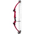 thumbnail image 1 of Genesis Original Archery Compound Bow Adjustable Size,Left Handed, Red, 1 of 5