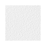 Genesis White Stucco Pro Ceiling Tiles - Easy Drop-in Installation – Waterproof, Washable and Fire-Rated - High-Grade PVC to Prevent Breakage (6" x 6" Sample)