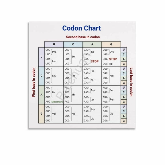 Genetic Code For Amino Acids Chart Poster (1) Canvas Painting Posters And Prints Wall Art for Living Room Bedroom Decor