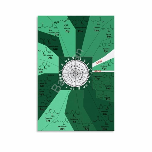 Genetic Code For Amino Acids Poster Biology Chart (3) Canvas Painting Wall Art Poster for Bedroom Living Room Decor poster