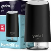 Geniani Mini Cool Mist Humidifier for Bedroom, Small Car Humidifier 250ml Black