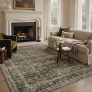 GENIMO 5'x7' Area Rug for Living Room, Washable Non Slip Soft Persian Rug for Bedroom Dining Room Home Office, Olive Bro